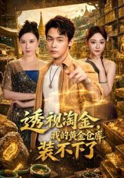 透视淘金，我的黄金仓库装不下了